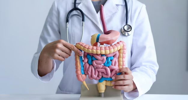 closeup-medical-professional-white-coat-demonstrating-human-digestive-system-anatomy-with-ste_995107-419