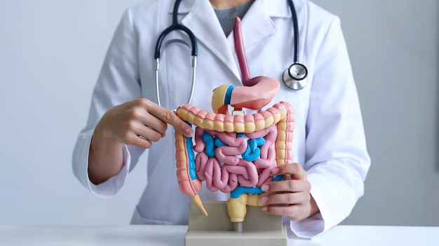 closeup-medical-professional-white-coat-demonstrating-human-digestive-system-anatomy-with-ste_995107-419